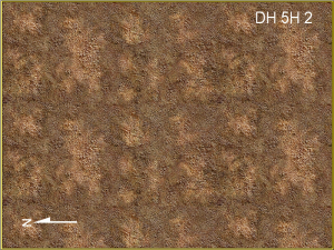 Dwarf Home Level 5h2, 225 x 300