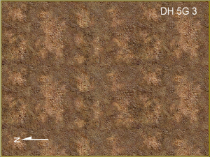 Dwarf Home Level 5g 3, 225 x 300