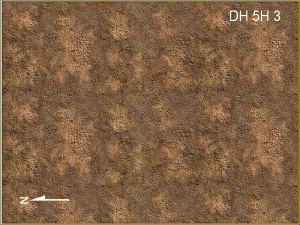 Dwarf Home Level 5h3, 225 x 300