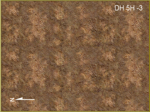 Dwarf Home Level 5h -3, 225 x 300