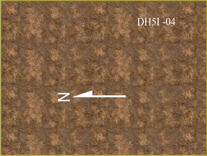 Dwarf Home Level 5i -04, 225 x 300