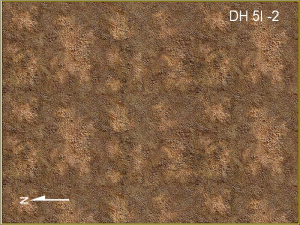 Dwarf Home Level 5i -2, 225 x 300