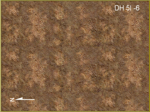 Dwarf Home Level 5i -6, 225 x 300